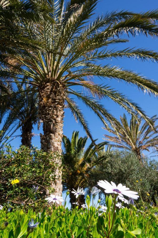 Carissa House In Crete Apartment Sitia  Luaran gambar